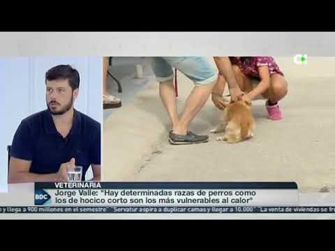 Innovaci&oacute;n y Compromiso en Canarias