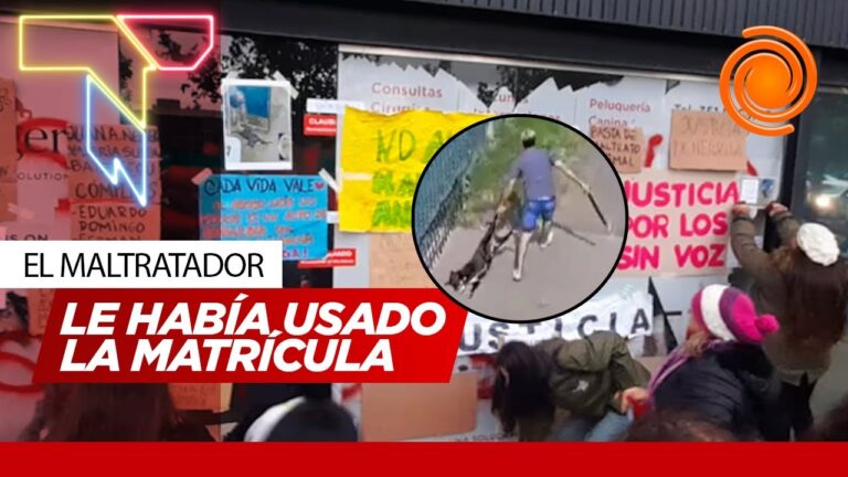 Respuesta de la Municipalidad de Villa Allende tras la Tr&aacute;gica Muerte de 'Negrita'