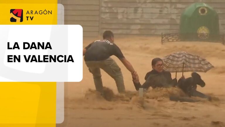 La comunidad veterinaria valenciana se une para apoyar a las v&iacute;ctimas de la DANA