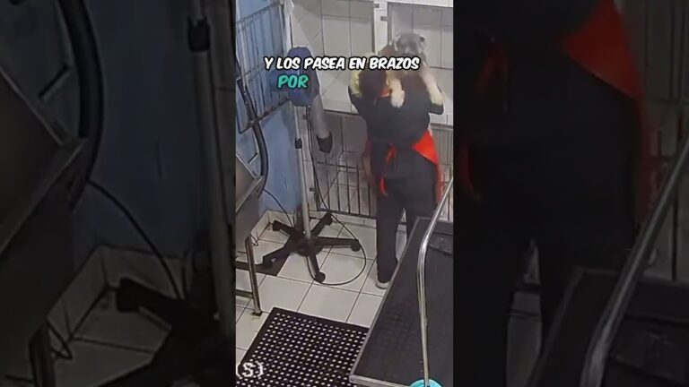 Innovaciones y tecnolog&iacute;a al servicio de la salud animal