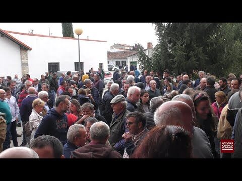 UPA &Aacute;vila solicita vacunaci&oacute;n gratuita contra la lengua azul para ganaderos