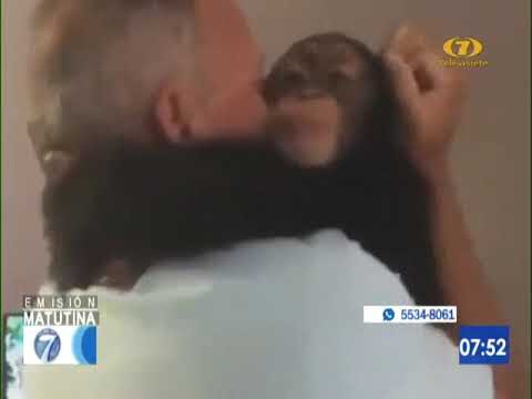 La Historia de su Rehabilitaci&oacute;n