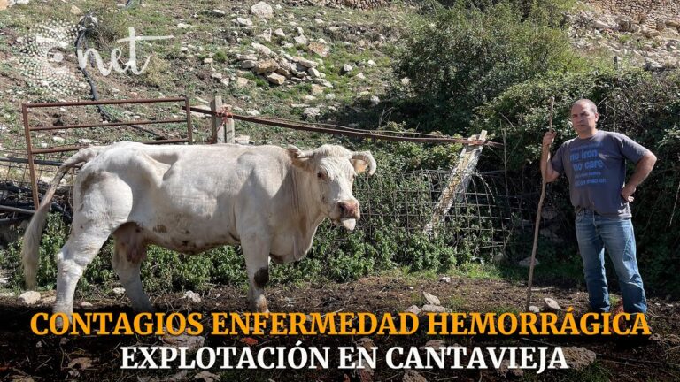 Nuevos casos en las granjas de Baltan&aacute;s y Herrera de Pisuerga