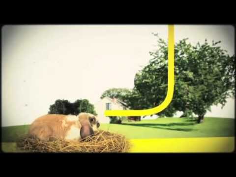 Innovaciones y formaci&oacute;n en salud animal