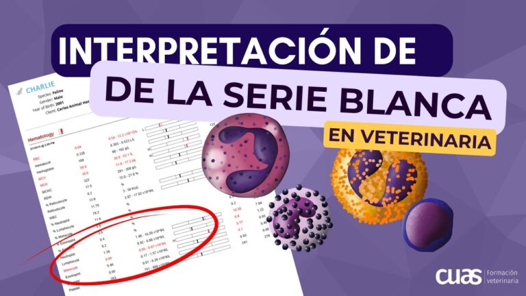 Guardianes de la Salud P&uacute;blica y el Bienestar Animal