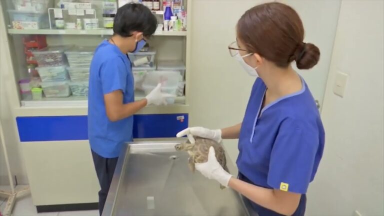 Celebración del 50 Aniversario de la Generación 1970-1974 en la Facultad de Veterinaria de la UV