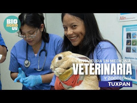 Nuevo Liderazgo en la Facultad de Medicina Veterinaria de UV, Tuxpan
