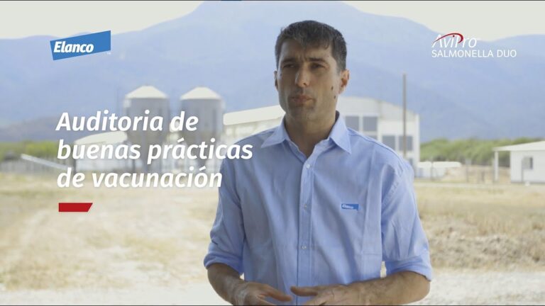 Juntos por el Valor Nutricional del Huevo en el Día Mundial del Huevo