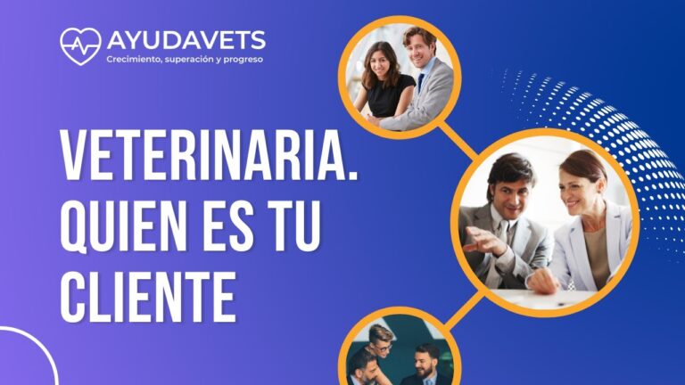 Dueño de clínica veterinaria condenado a prisión por ejercer sin licencia