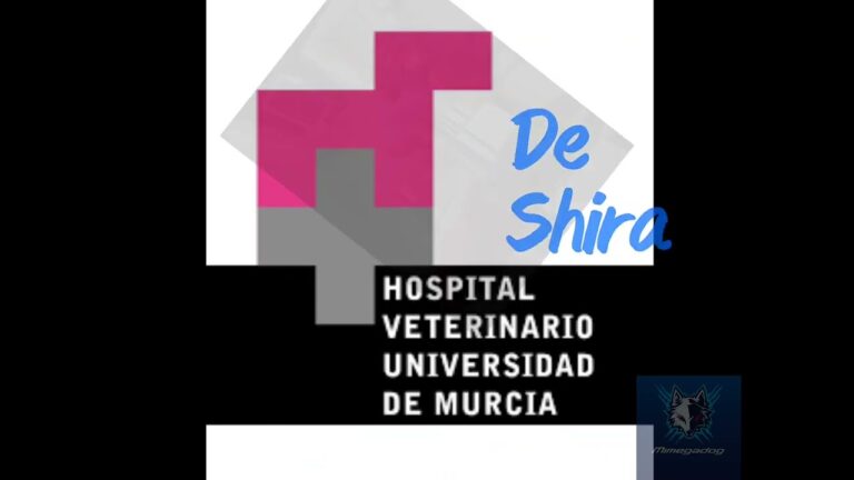 Formaci&oacute;n y Compromiso con el Bienestar Animal