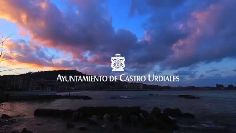 Castro Urdiales Contrata Servicios Veterinarios para Cuidado de Colonias Felinas