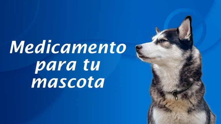 &iquest;Farmacias para Mascotas? Argumentos a Favor de la Distribuci&oacute;n de Medicamentos
