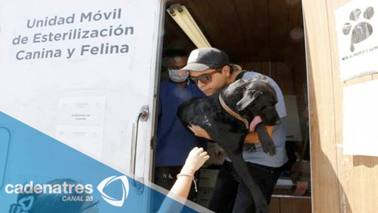 ¡Cuidemos a Nuestros Perros!