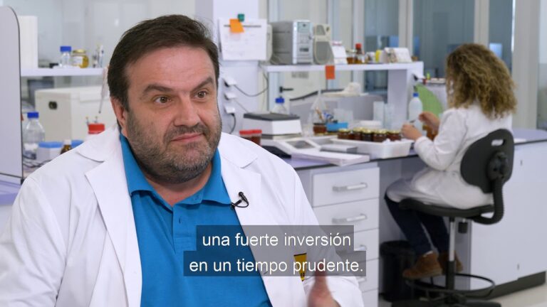 Alertan sobre Ingreso Ilegal de Medicamentos Veterinarios para Abejas en Mamuil Malal