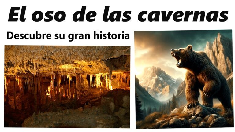 &iexcl;Libertad para Barniedo! El osezno regresa a su h&aacute;bitat natural