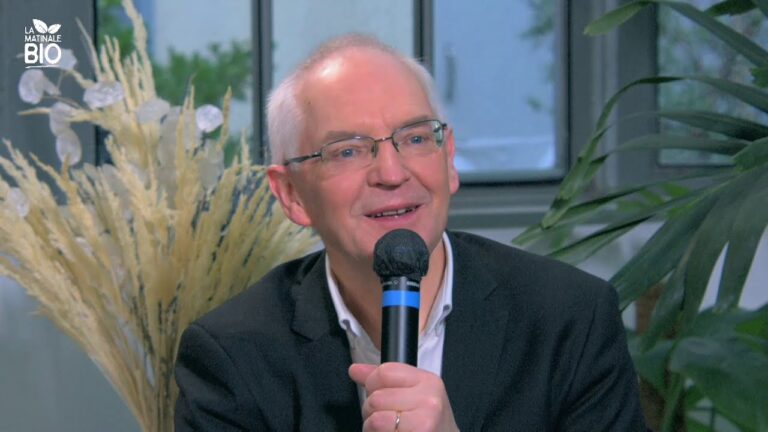 WSAVA Busca Especialista en Rabia para Fortalecer la Salud Global