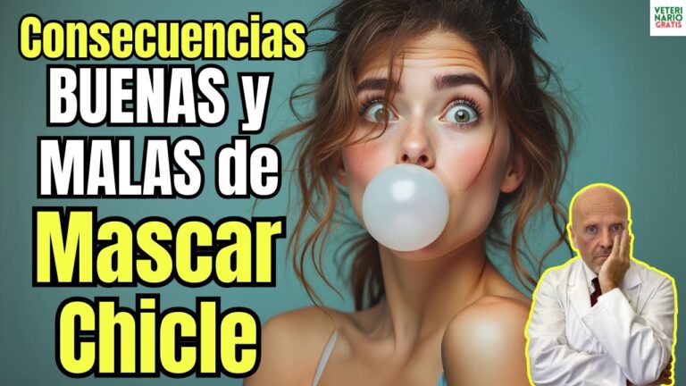 El 76% de los veterinarios sufren violencia en su trabajo