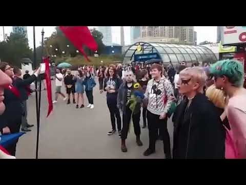 Explorando la Conexi&oacute;n Milenaria entre Perros y Humanos