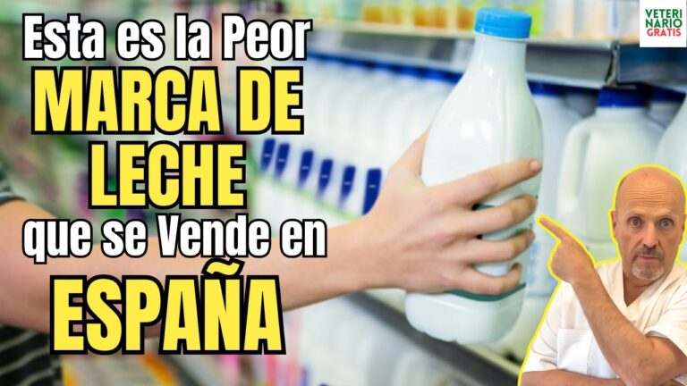 Veterinarios en Valladolid protestan contra la p&eacute;rdida de empleo en el servicio p&uacute;blico