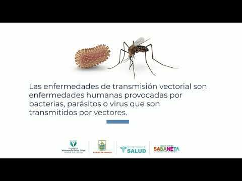 Estrategias Sostenibles contra Pat&oacute;genos Transmitidos por Vectores