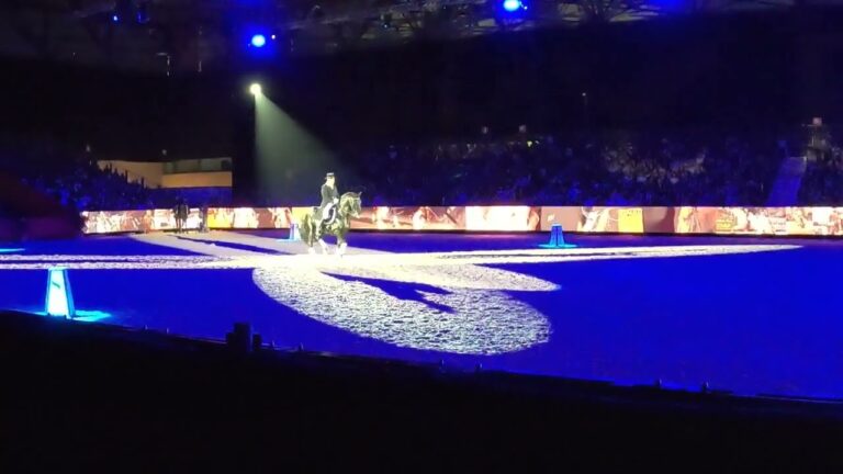 &iexcl;Todo listo para un fin de semana espectacular!