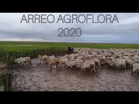 Prohibici&oacute;n de Slaughter y Amenazas de Inseguridad