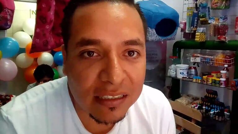 Desmantelan red de falsos veterinarios que ponen en riesgo a tus mascotas