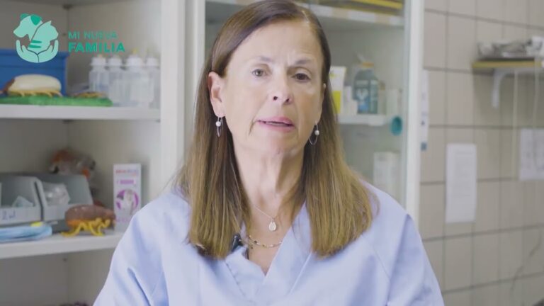 Estrategias Clave en el Manejo de Coinfecciones y Comorbilidades en Leishmaniosis