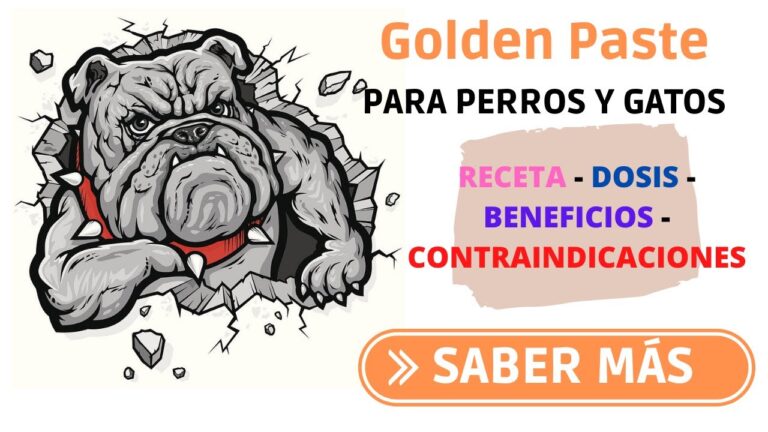 Beneficios Naturales para la Salud de Tu Gato