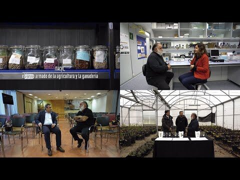 UGTCyL exige empatía de la consejera de Agricultura ante el despido de 122 veterinarios en Castilla y León