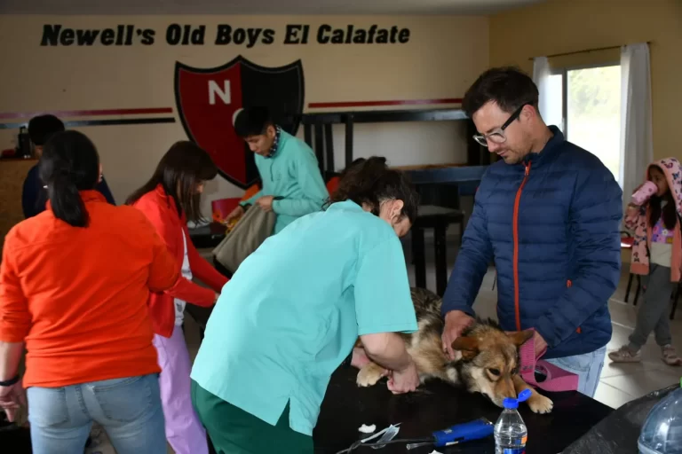 Jornada de Castraci&oacute;n Canina y Entrega de Estacas en El Calafate