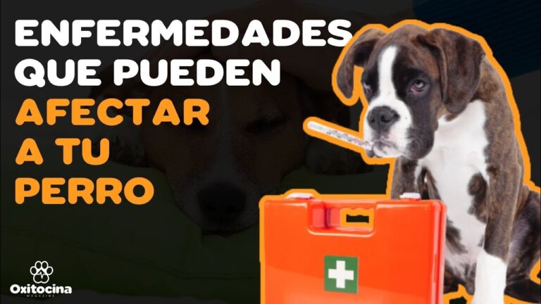 Claves para su Salud | Cambio Colombia