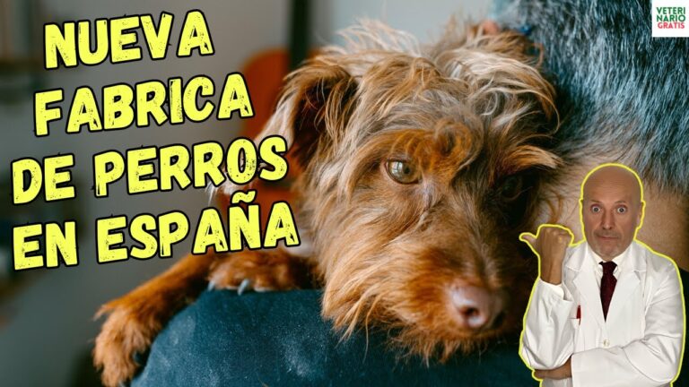 Luchando Juntos Contra la Precariedad Laboral