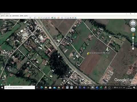 Condenan a dueño de clínica veterinaria por intrusismo profesional y falsedad