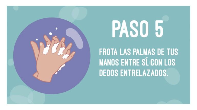 Clave para Evitar Complicaciones en Veterinaria