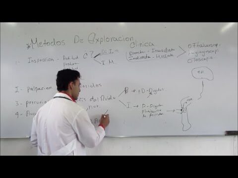 Clave para el &Eacute;xito Profesional