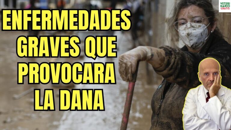 Veterinarios Intensifican Atención Urgente para Animales Afectados por Inundaciones