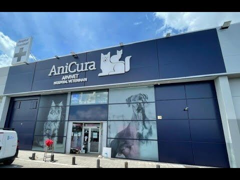 Mejorando la Oftalmolog&iacute;a Veterinaria en el Pa&iacute;s Vasco