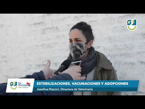 &iexcl;Cuida a tu Mascota!