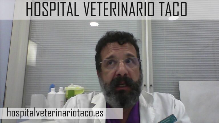 Pilares del Bienestar Animal en Emergencias