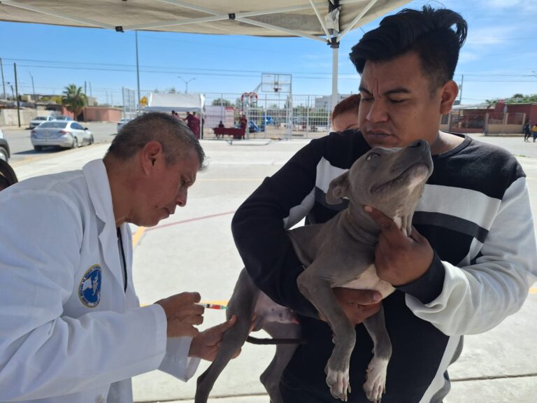 Servicios M&eacute;dicos y Veterinarios Gratuitos Mejoran la Vida en Riberas del Bravo