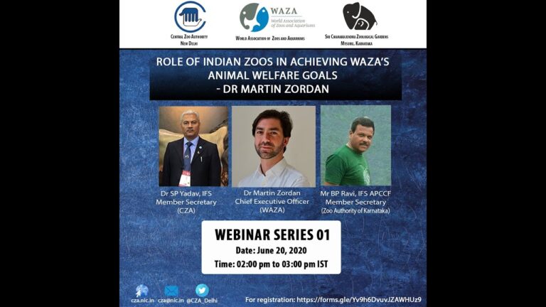 El Veterinario Chileno que Transforma la Conservación Global en Zoológicos y Acuarios