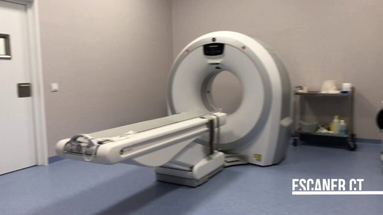 El Hospital Veterinario CEU atiende a m&aacute;s de 100 animales afectados por las inundaciones en Valencia