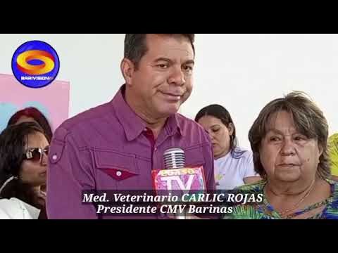 Veterinarios alertan sobre el peligro de los esteroides para animales en humanos