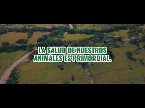 Cuidar a nuestros equipos y la salud animal