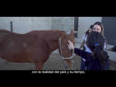 Innovación y Conocimiento en la Medicina Veterinaria