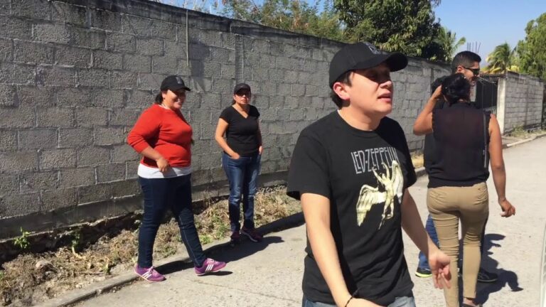 &iexcl;Servicios veterinarios a bajo costo y m&aacute;s!