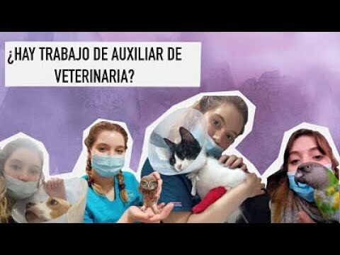 Servicios Gratuitos en Riberas del Bravo