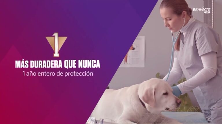 Protecci&oacute;n Anual Efectiva contra Pulgas y Garrapatas para tu Mascota