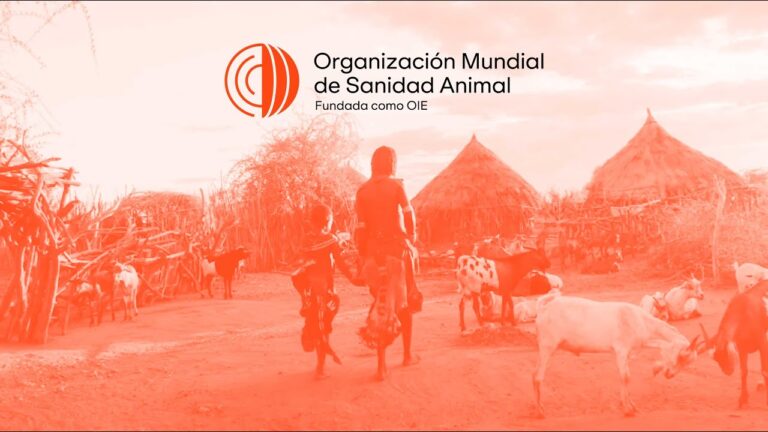 Claves del III Congreso Internacional